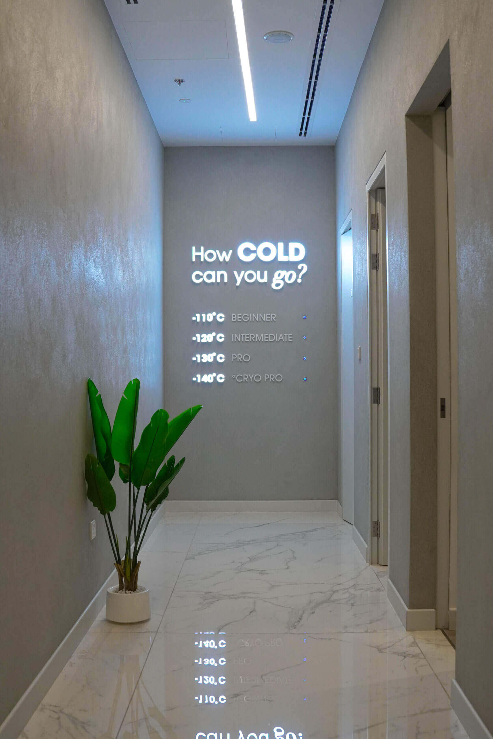 Franchise opportunities that scale