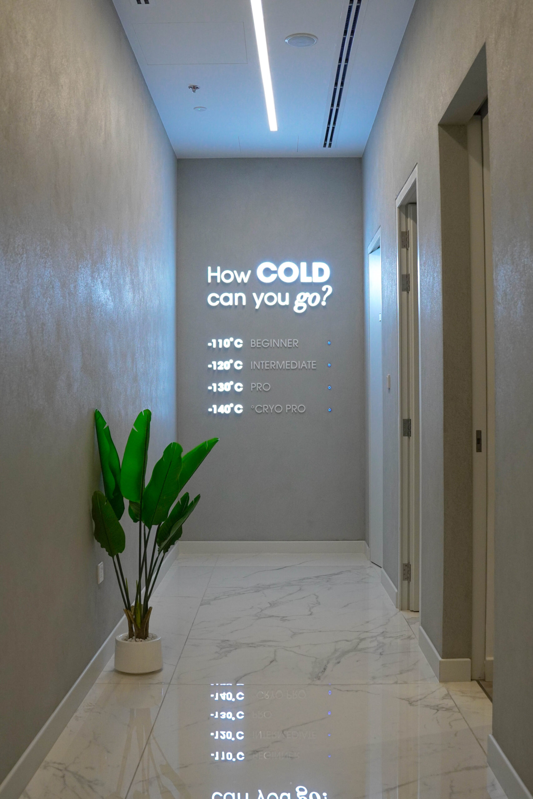 Franchise opportunities that scale